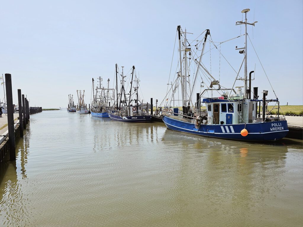 ferienhaus-wremen-nordsee-6