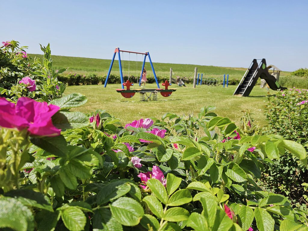 ferienhaus-wremen-nordsee-7