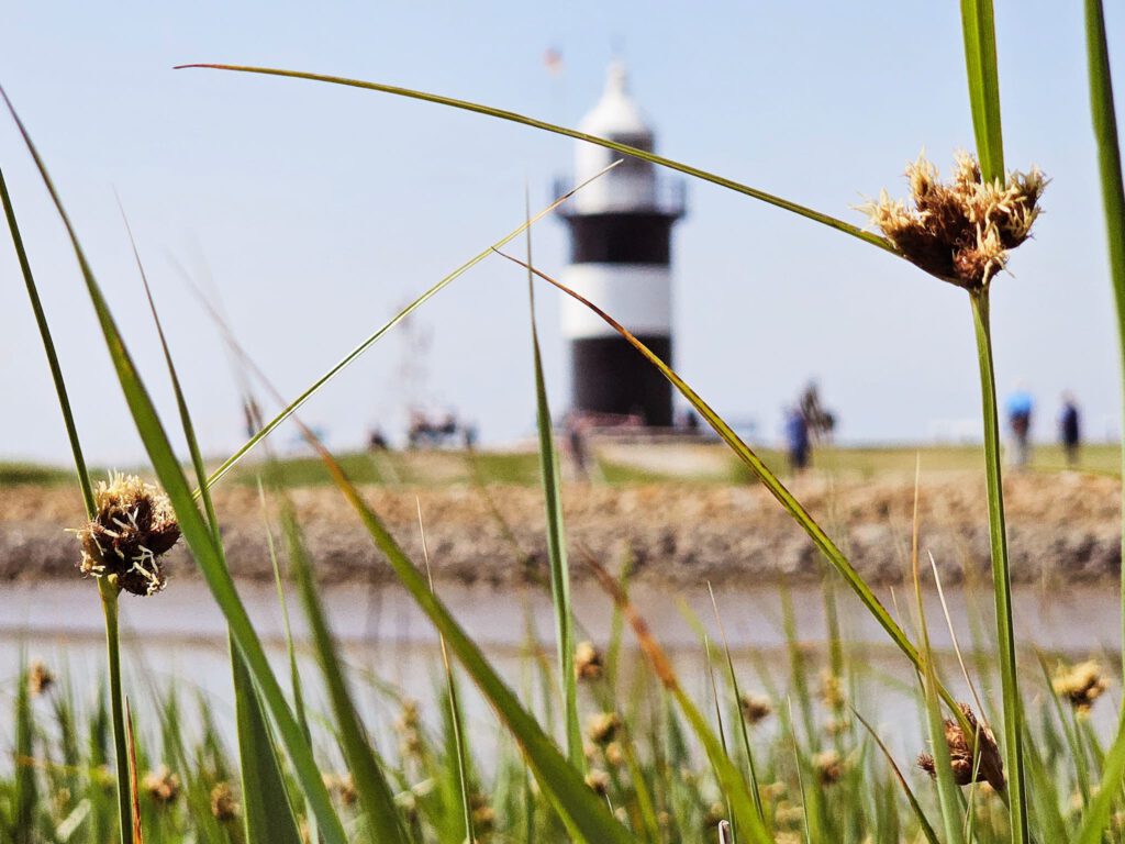 ferienhaus-wremen-nordsee-8